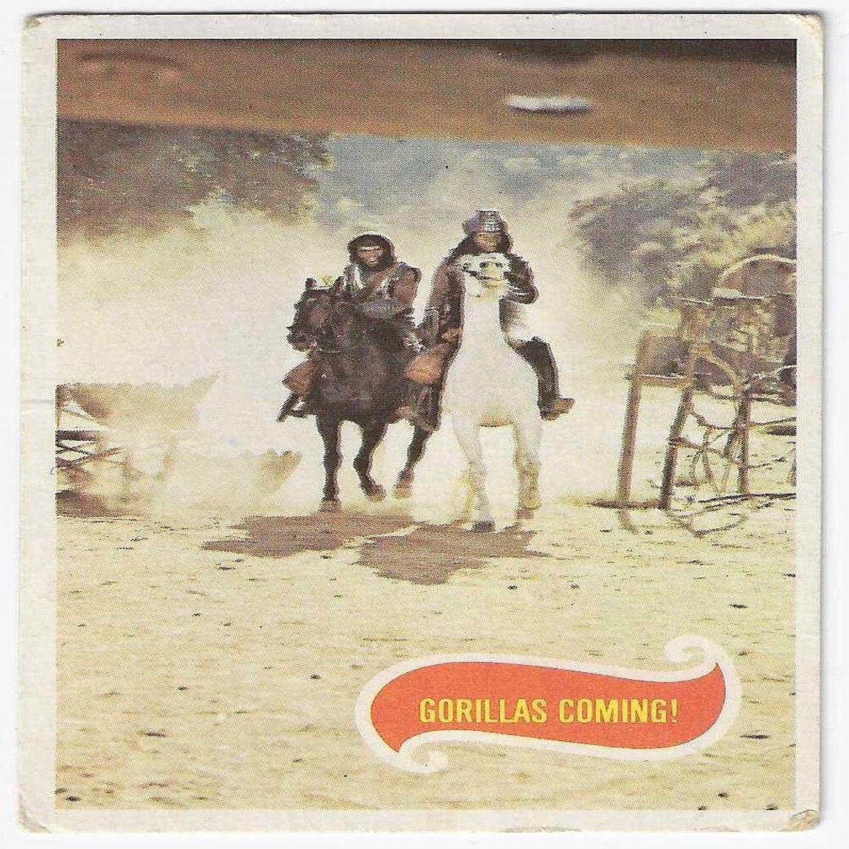 1975 Scanlens Planet of the Apes (39) Gorillas Coming!