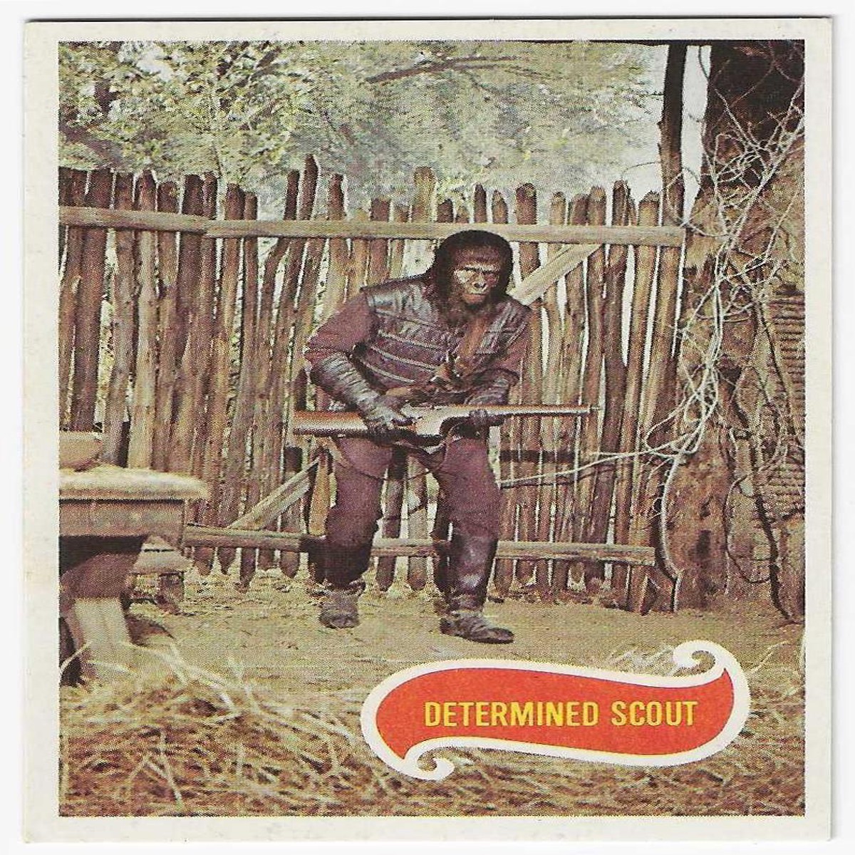 1975 Scanlens Planet of the Apes (42) Determined Scout
