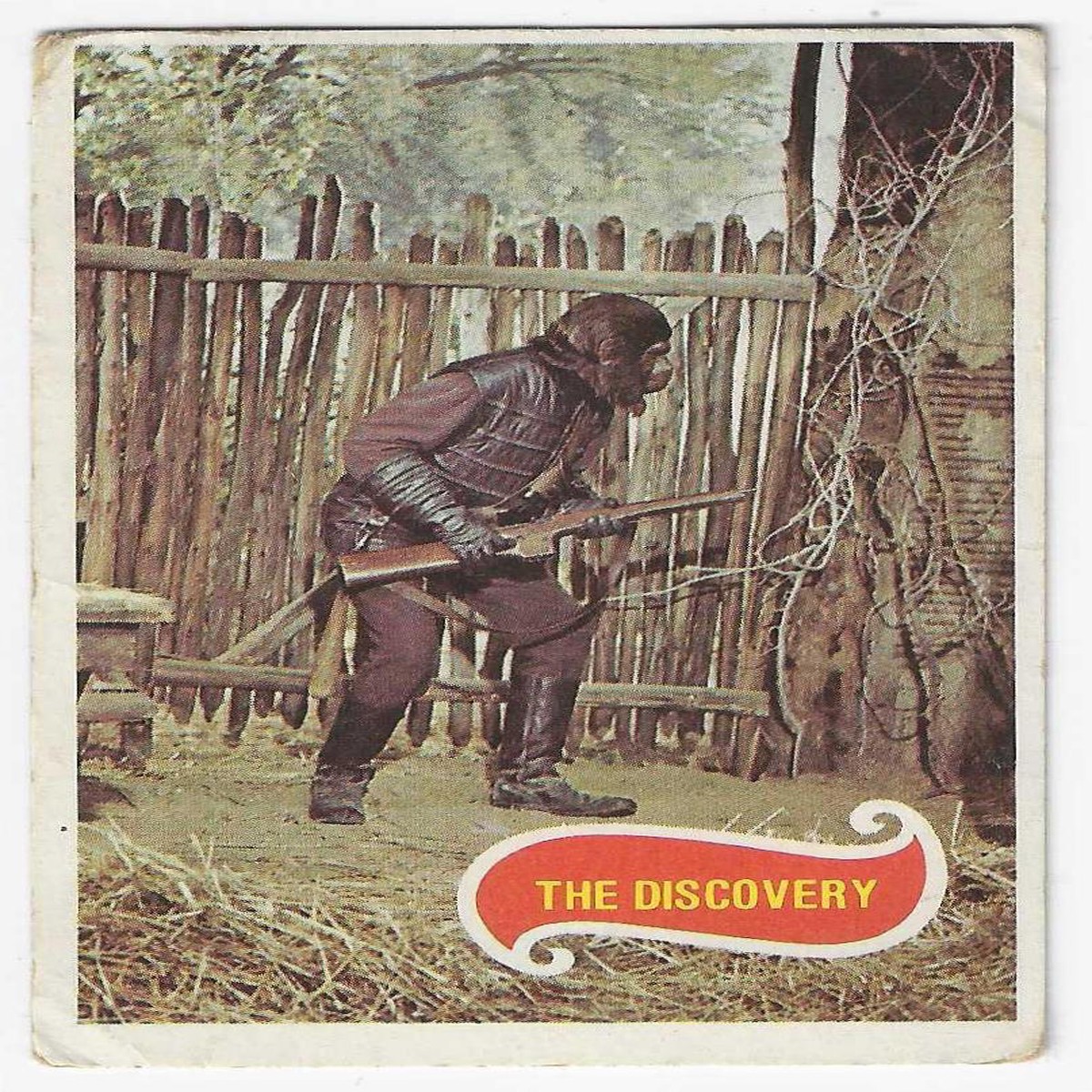 1975 Scanlens Planet of the Apes (45) The Discovery