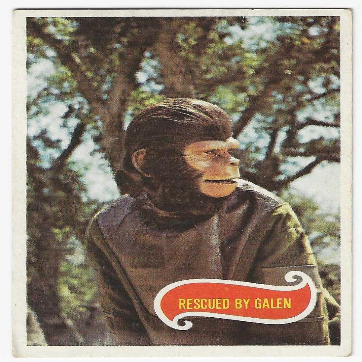 1975 Scanlens Planet of the Apes (46) Rescued By Galen