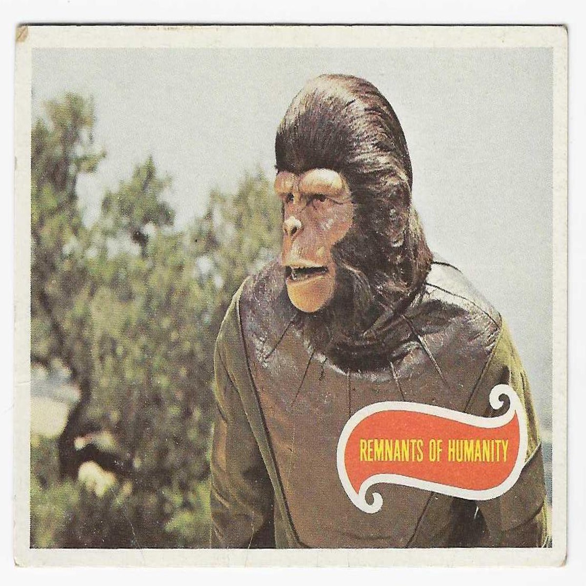 1975 Scanlens Planet of the Apes (8) Remnants Of Humanity