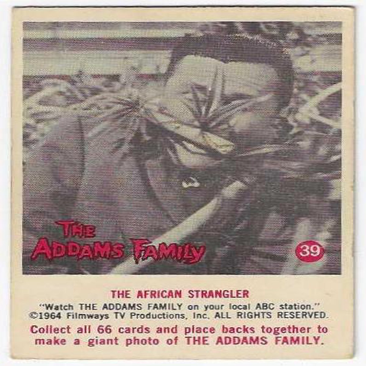 1964 Addams Family (39) The Africian Strangler
