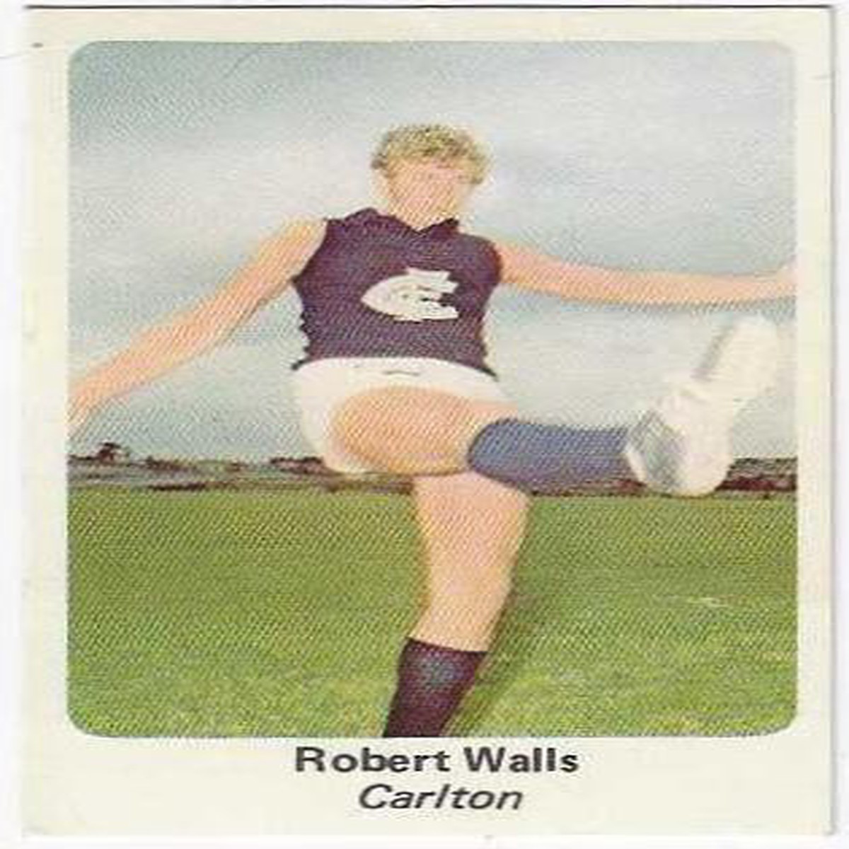 1971 Sunicrust (28) Robert Walls Carlton