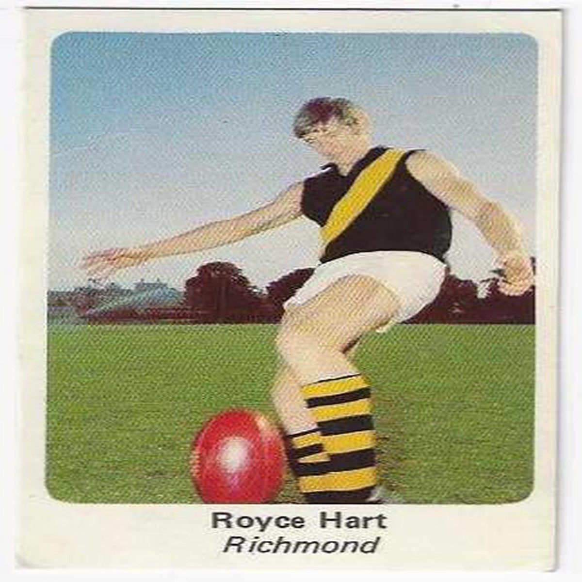 1971 Sunicrust (15) Royce Hart Richmond