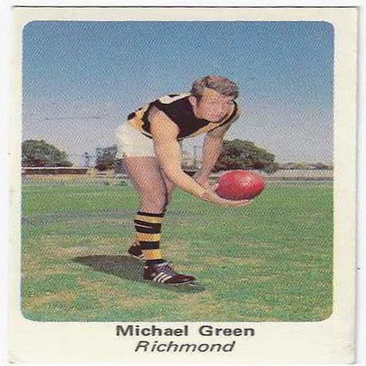 1971 Sunicrust (4) Michael Green Richmond